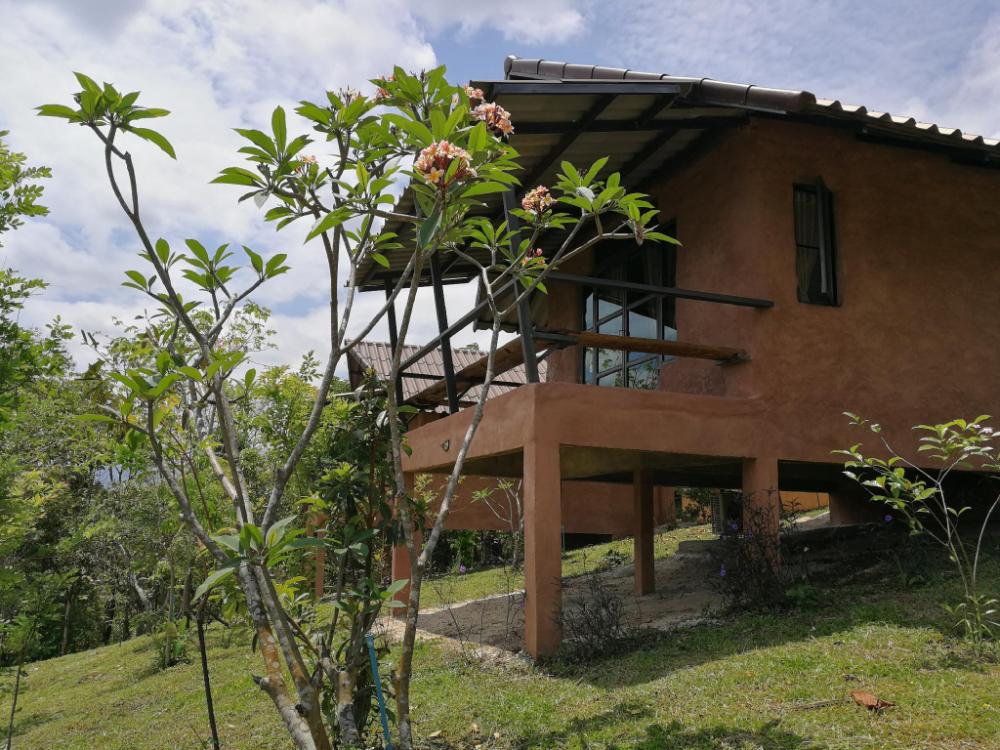 claycraft coffee gallery homestay