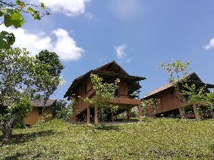claycraft coffee gallery homestay