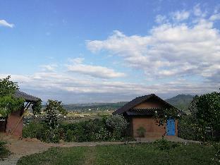 claycraft coffee gallery homestay