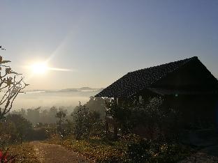 claycraft coffee gallery homestay