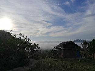 claycraft coffee gallery homestay