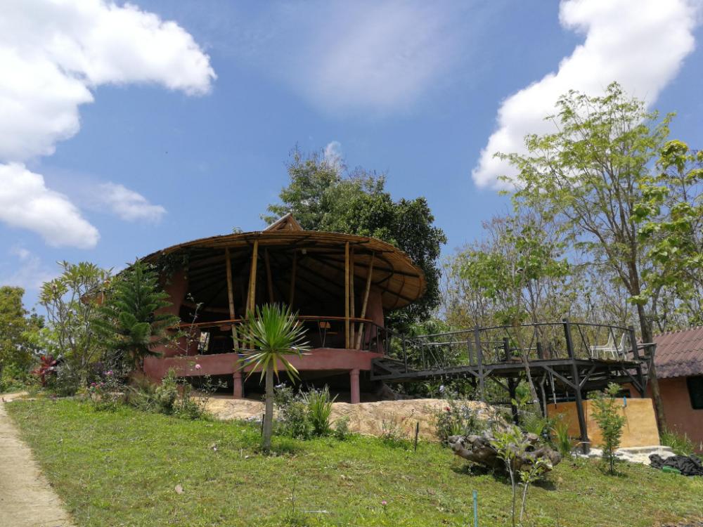 claycraft coffee gallery homestay