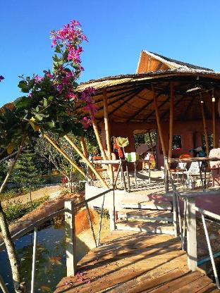 claycraft coffee gallery homestay