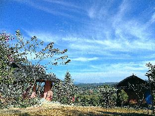 claycraft coffee gallery homestay