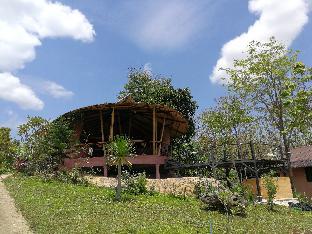claycraft coffee gallery homestay