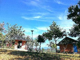 claycraft coffee gallery homestay