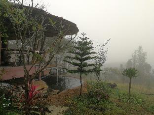 claycraft coffee gallery homestay