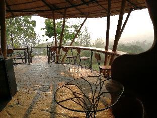 claycraft coffee gallery homestay
