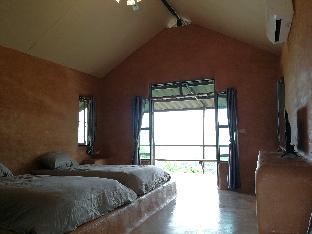 claycraft coffee gallery homestay