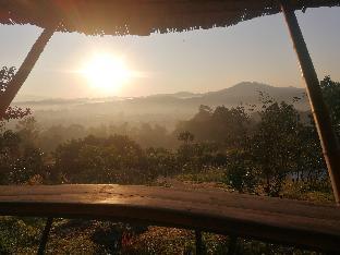 claycraft coffee gallery homestay