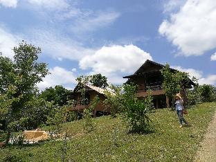 claycraft coffee gallery homestay