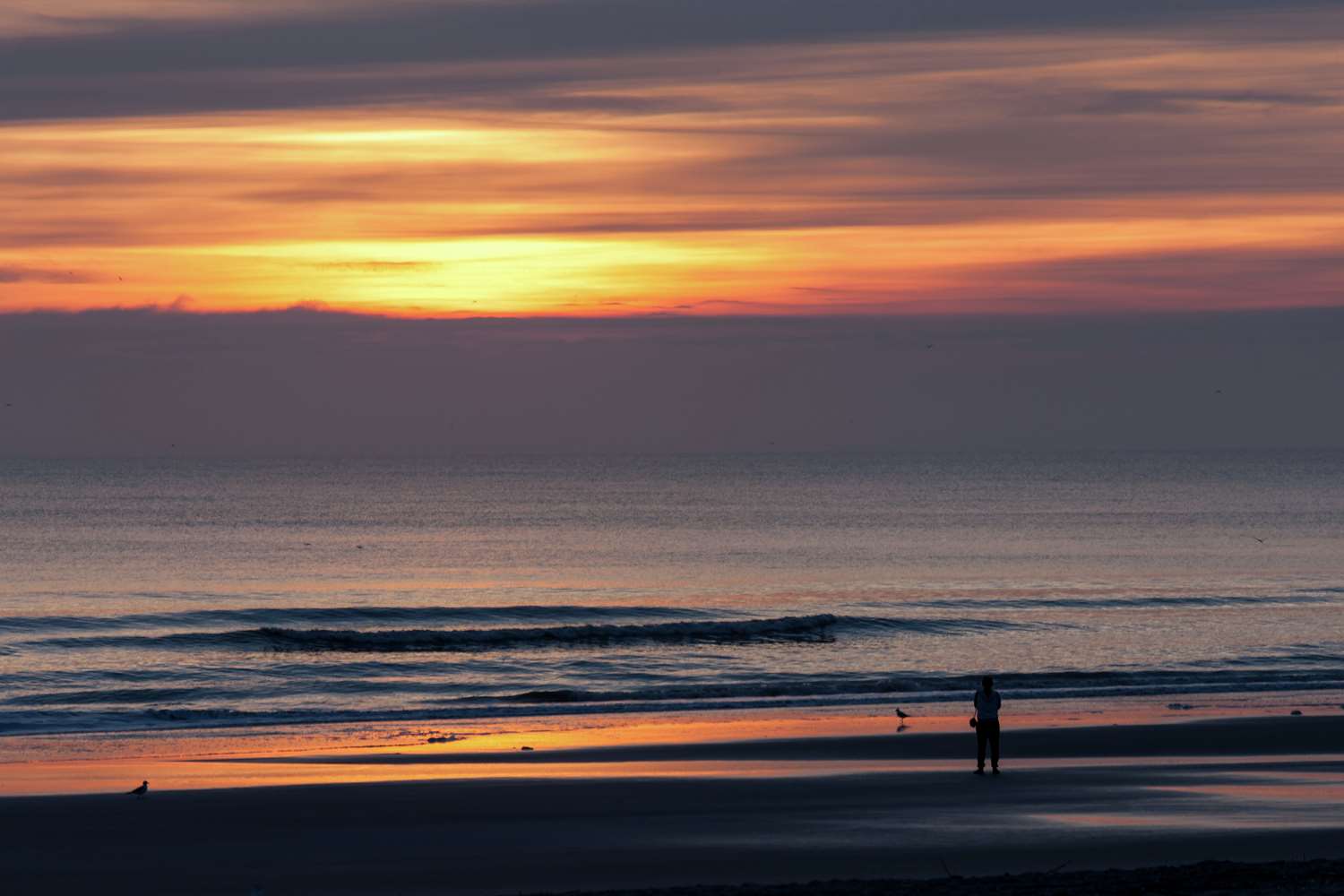 hampton inn jacksonville beach oceanfront