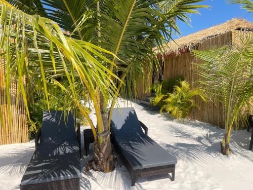 white sand ark resort