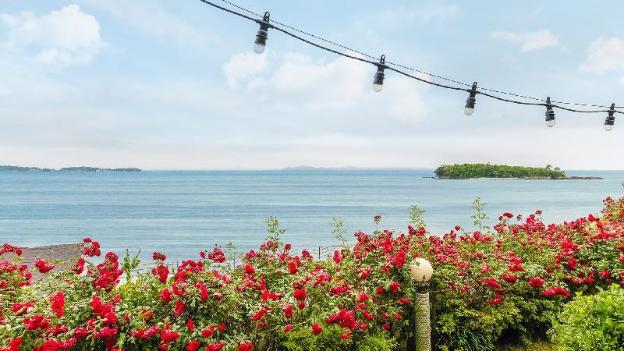 taean teulapbada pension