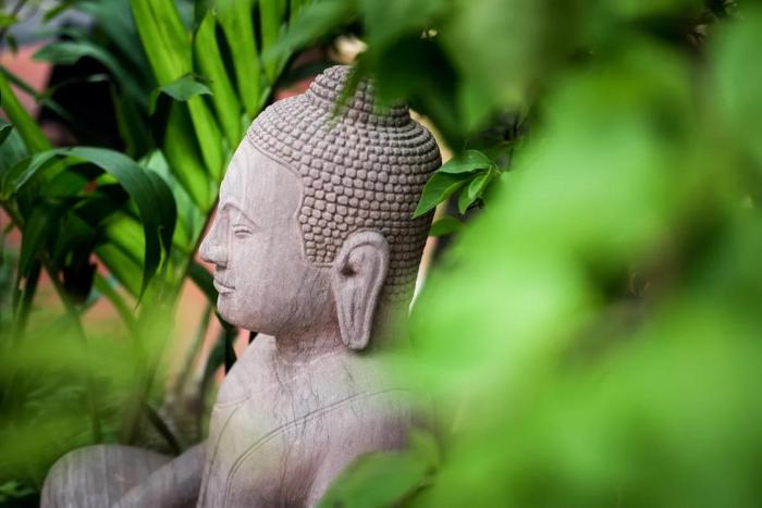 khach s n le domaine de cocodo