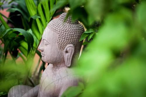 khach s n le domaine de cocodo