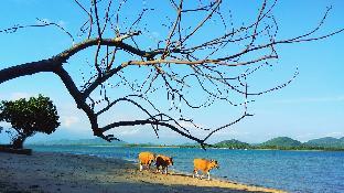 catappa village lombok