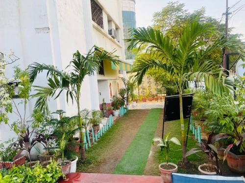 cozy shelter by saira