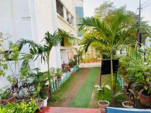 cozy shelter by saira