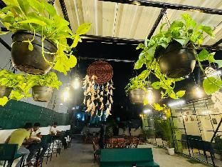 cozy shelter by saira