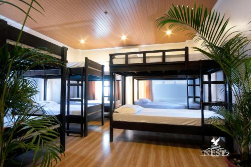 nest resort