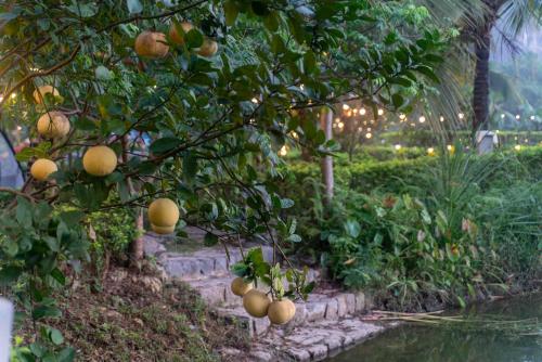 the goat boutique resort