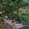 the goat boutique resort