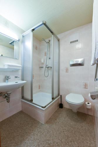 City Hotel,Ingenbohl>>Brunnen,4 star