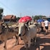 siem reap