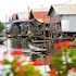 siem reap
