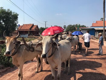 siem reap
