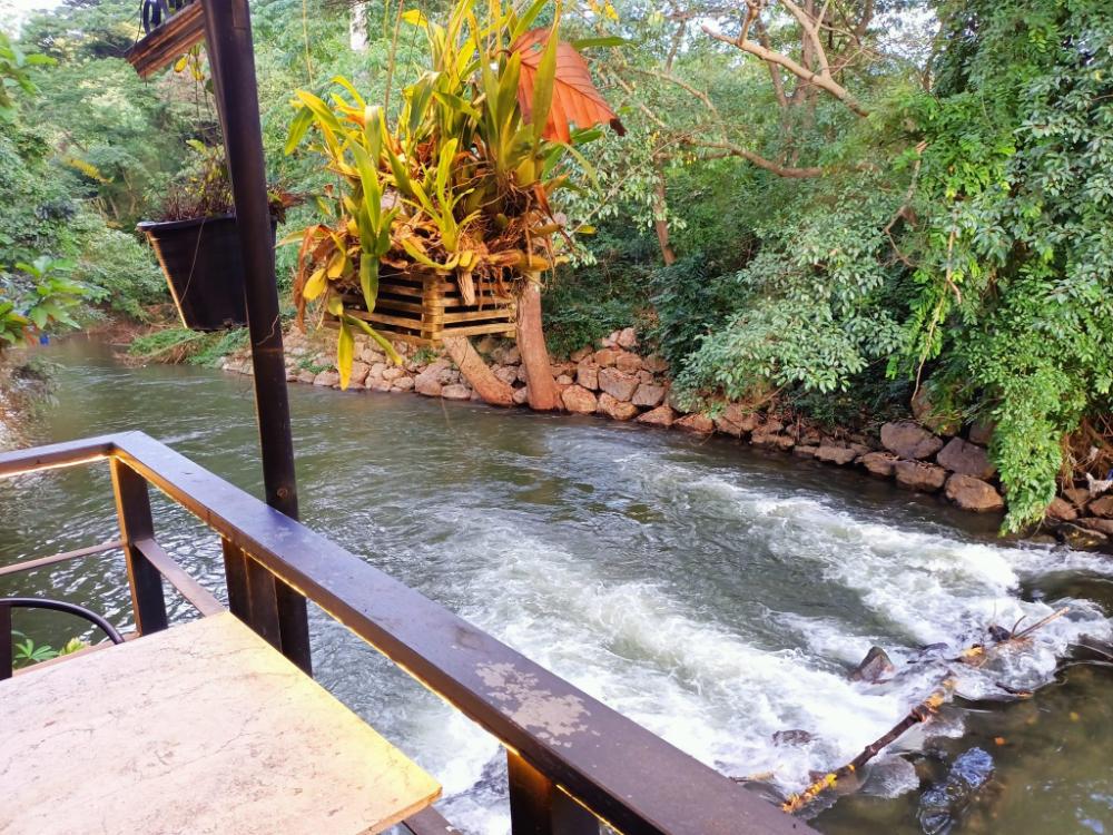 the rust dome resort by blue moon