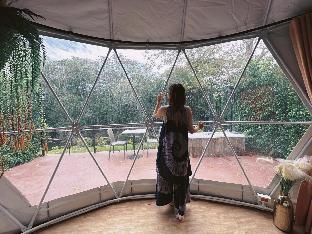 the rust dome resort by blue moon