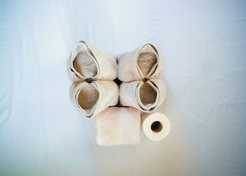 ocean green eco lodge