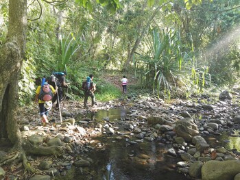 ocean green eco lodge