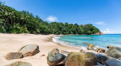 cocoon islanda hotel