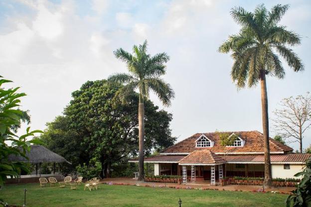 forest trails adventure resort