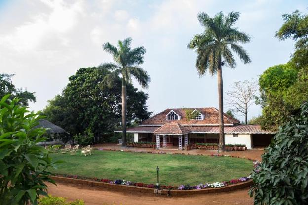 forest trails adventure resort