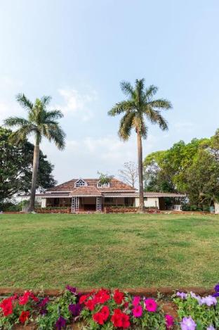 forest trails adventure resort