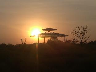 Forest Trails Adventure Resort,Gargoti>>Amboli,2 star