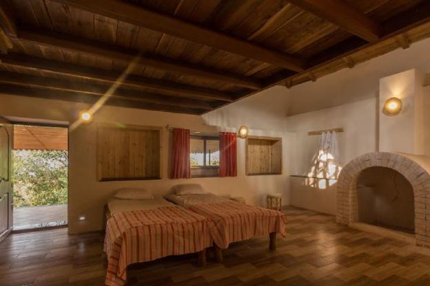 forest trails adventure resort