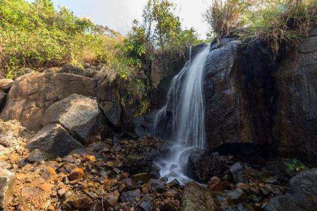 forest trails adventure resort