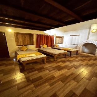 forest trails adventure resort