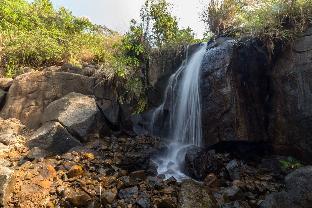 forest trails adventure resort