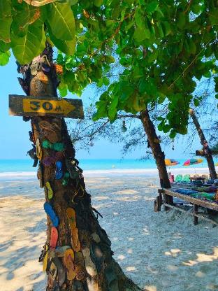 longbeach kohphayam