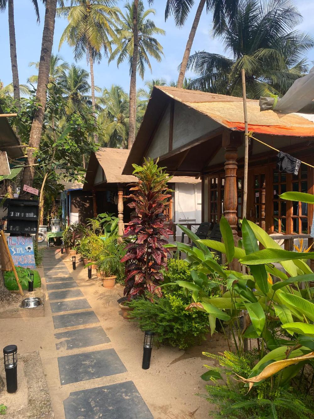 tropical bay beach hosteland cottages