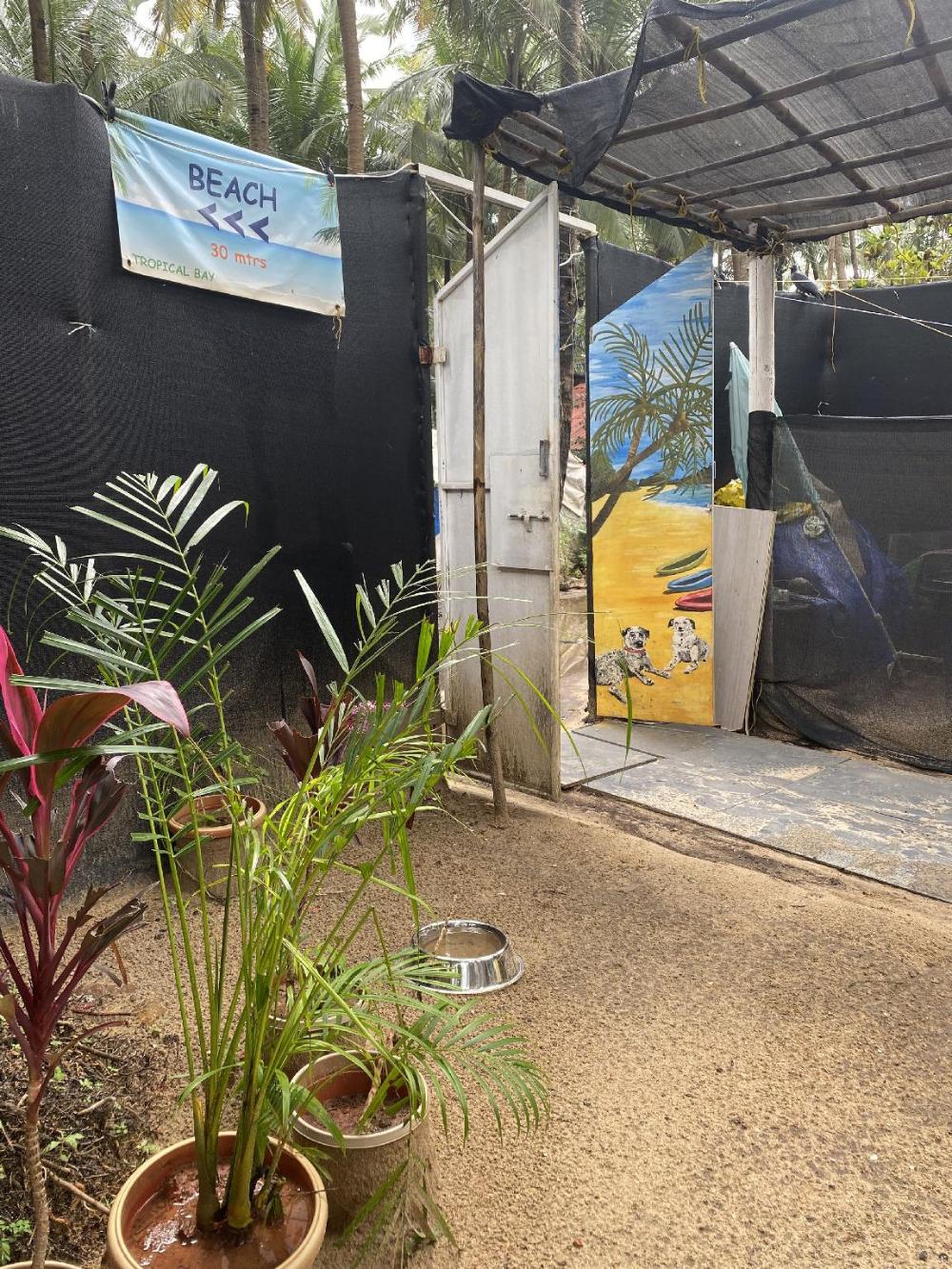 tropical bay beach hosteland cottages