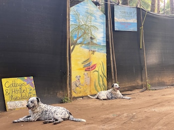 tropical bay beach hosteland cottages