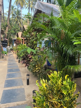 tropical bay beach hosteland cottages