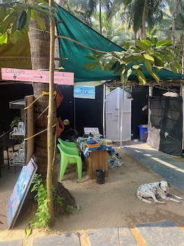 tranquil stay palolem beach